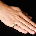 Poetry and Far Away Pegasus God of Hope Ring in 10K Gold Platinum Devise Light luxury