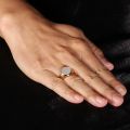 White Friary Seal Ring 10K Gold Rose Color Gold White Natural Mother Of Pearl Shell Light Luxury Personality Ring For Men And Women