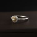 Round Yellow Diamond Love Ring 14K Gold + Diamonds 0.100ct/1 0.240ct/49 Pure Eternal Fidelity Tailored