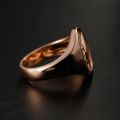 Poetry and Far Away Pegasus God of Hope Ring in 18K Gold Platinum Devise Light luxury