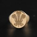 Royal Family Crest Ring in 10K Gold - Vintage Seal Design for Stylish and Luxurious Customization